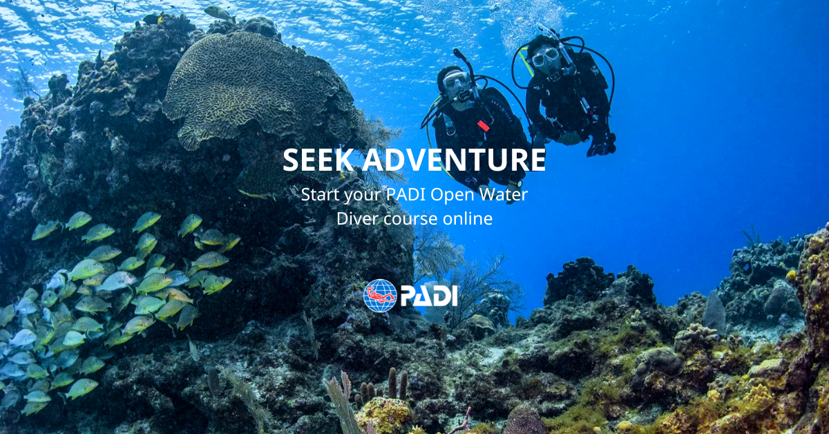PADI Open Water Diver Course