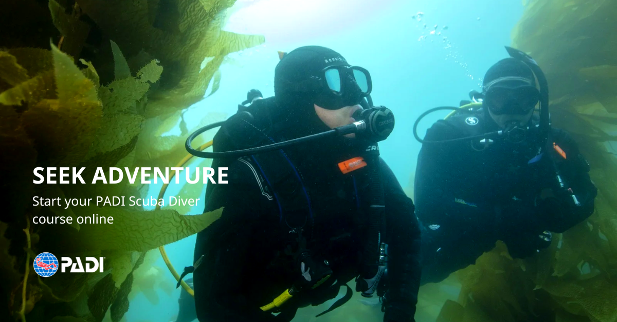 PADI Scuba Diver Course