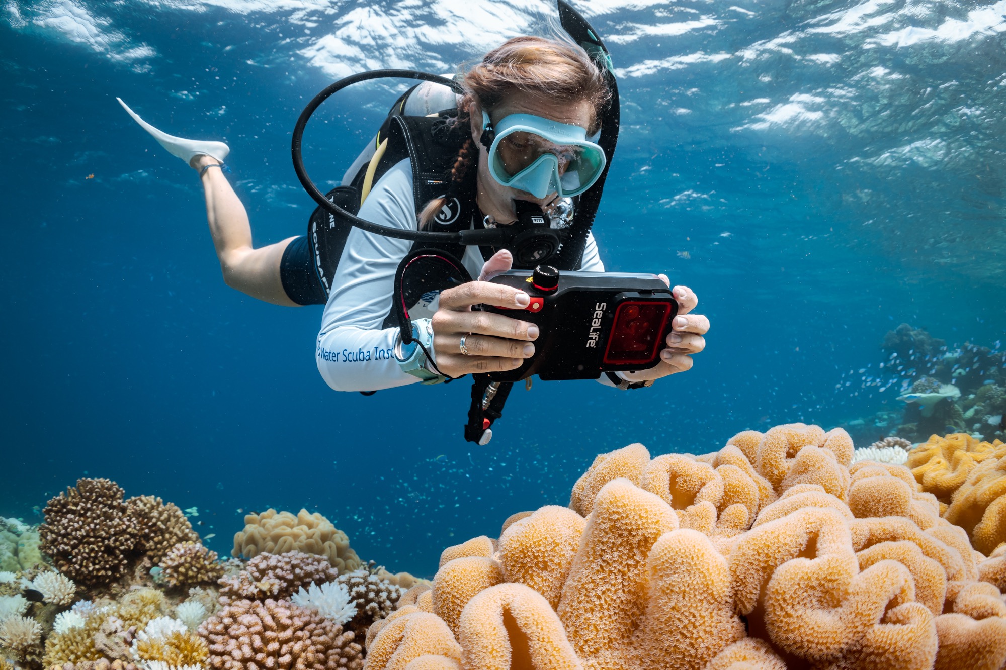 Fun Diving Electric Nose