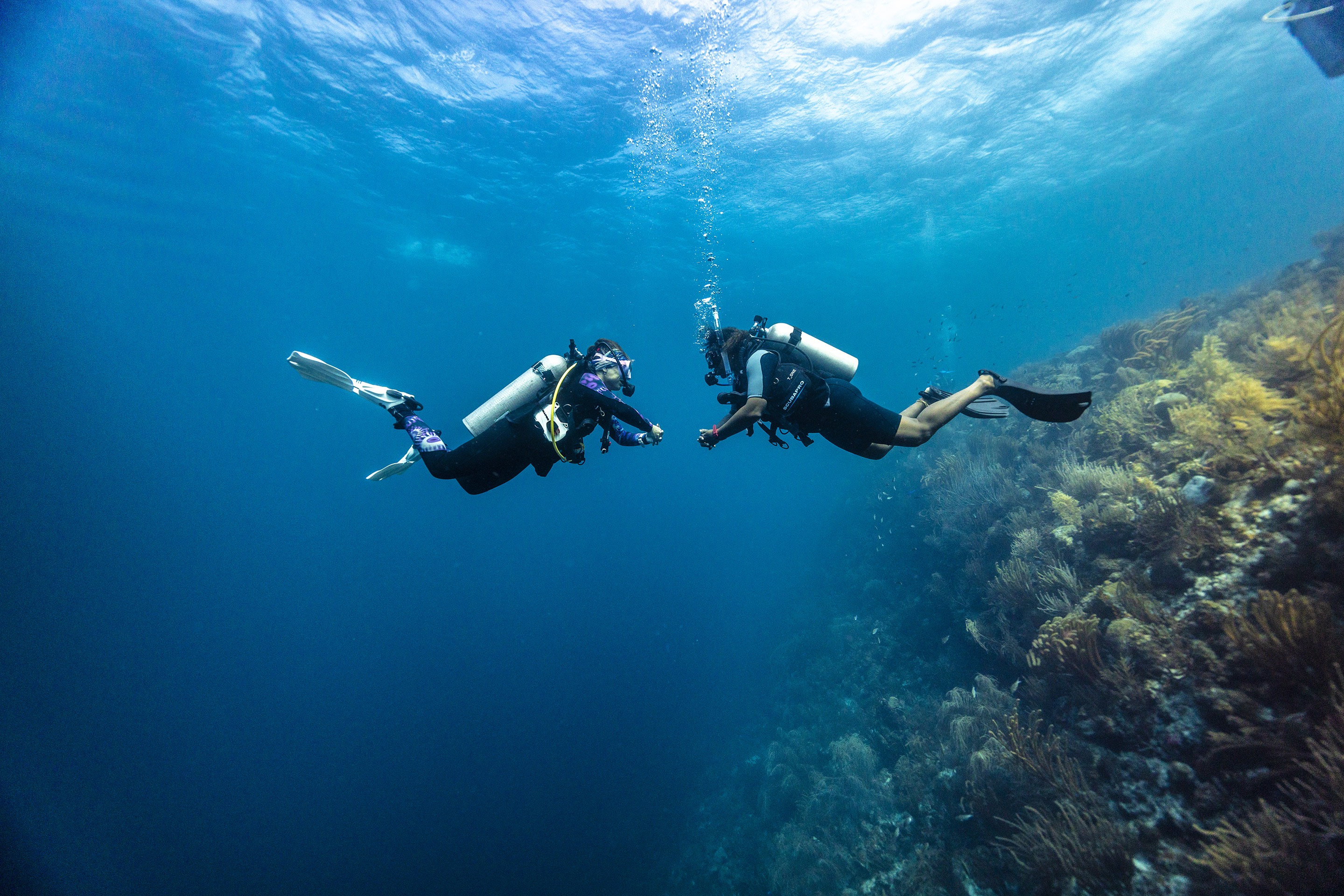 Discover Scuba Diving