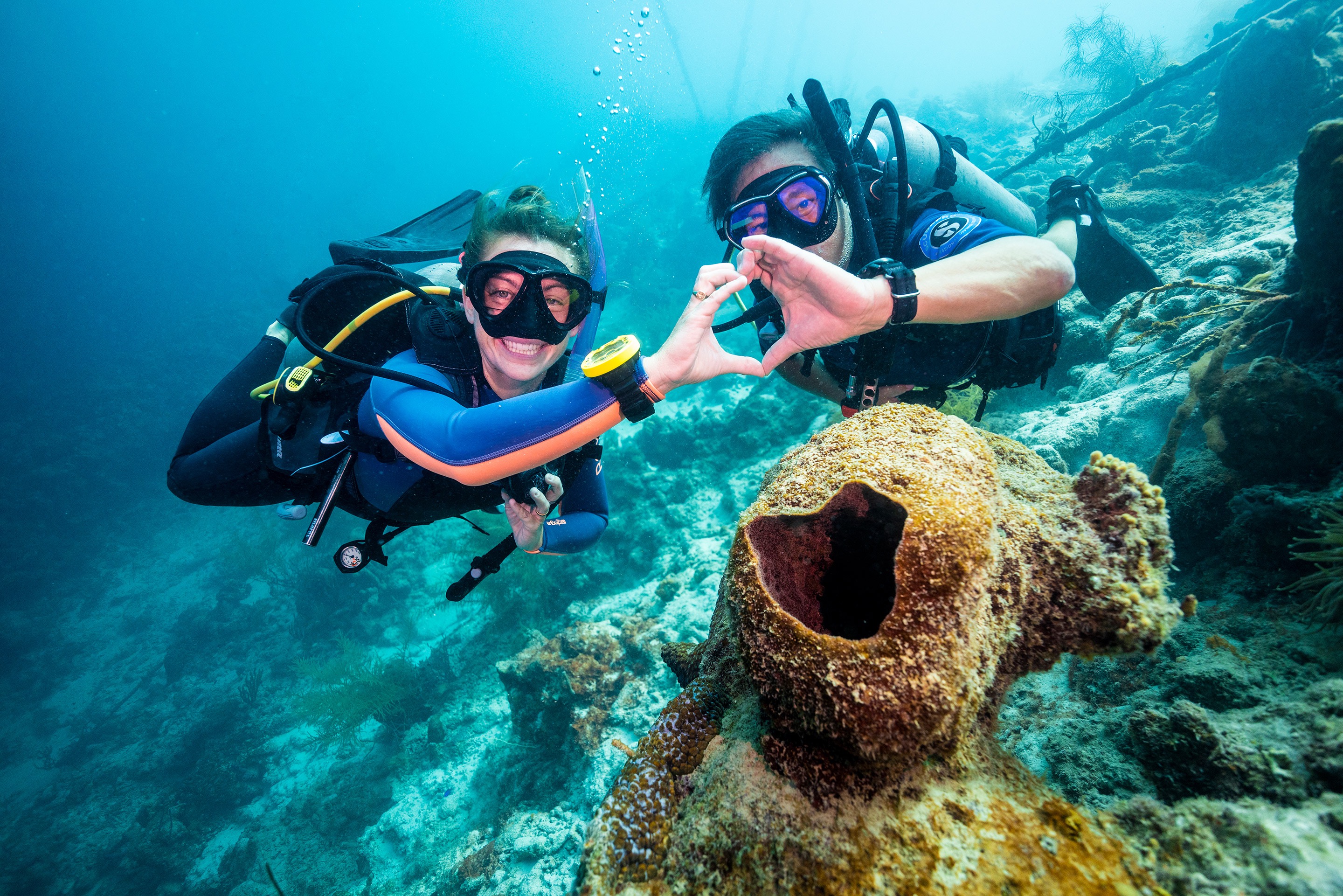  Learn Diving Ecodive    All PADI levels  