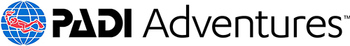 Diver Logo