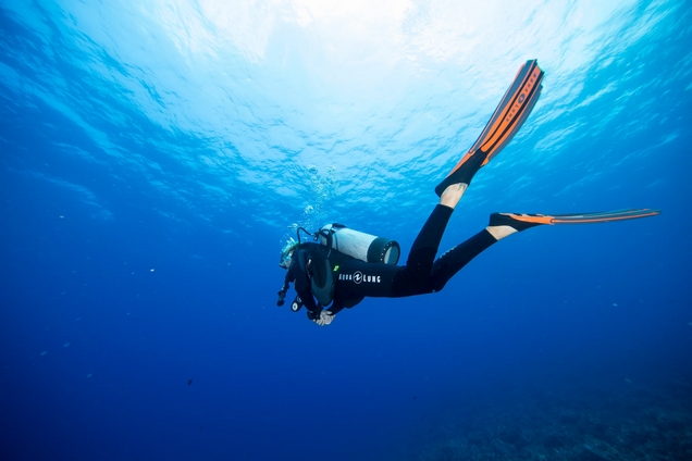 Ecodive Nha Trang