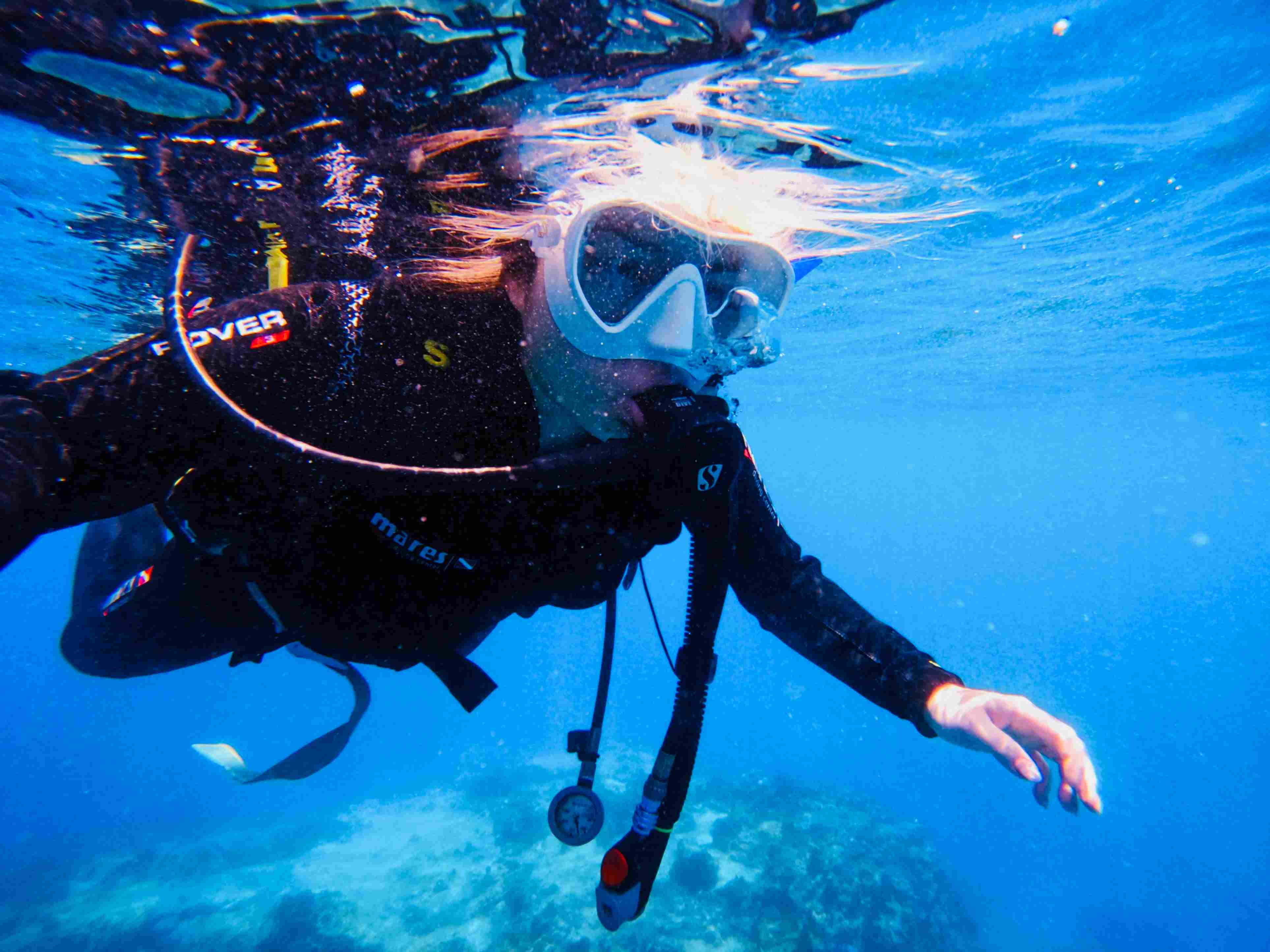 padi-elearning